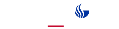 Georgia State University